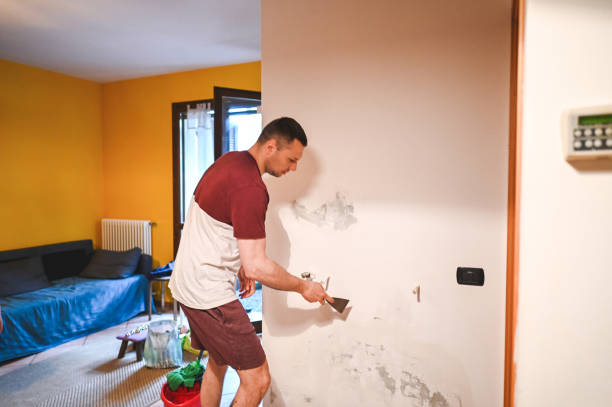Best Commercial Mold Removal  in Snyder, OK