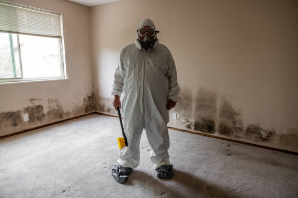 Best Local Mold Removal Service  in Snyder, OK